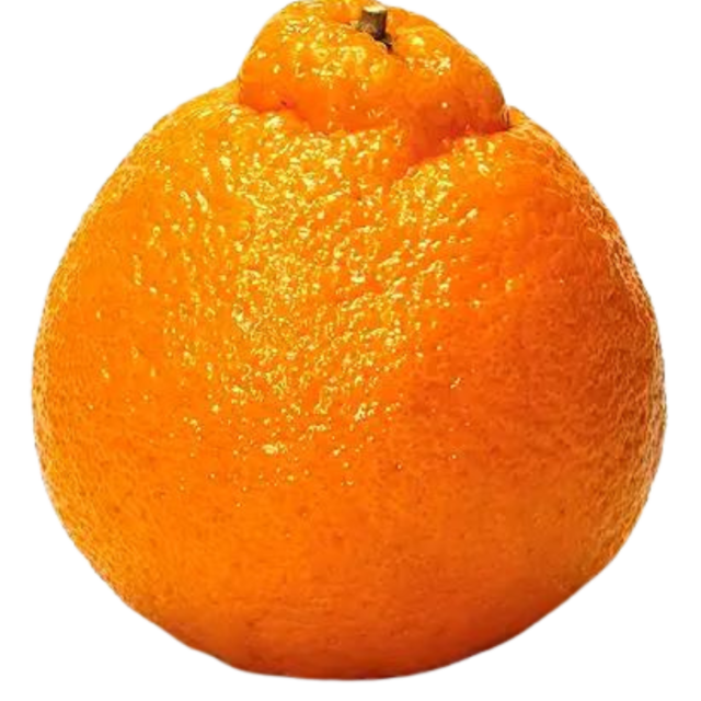 banzzai fruit image (2)